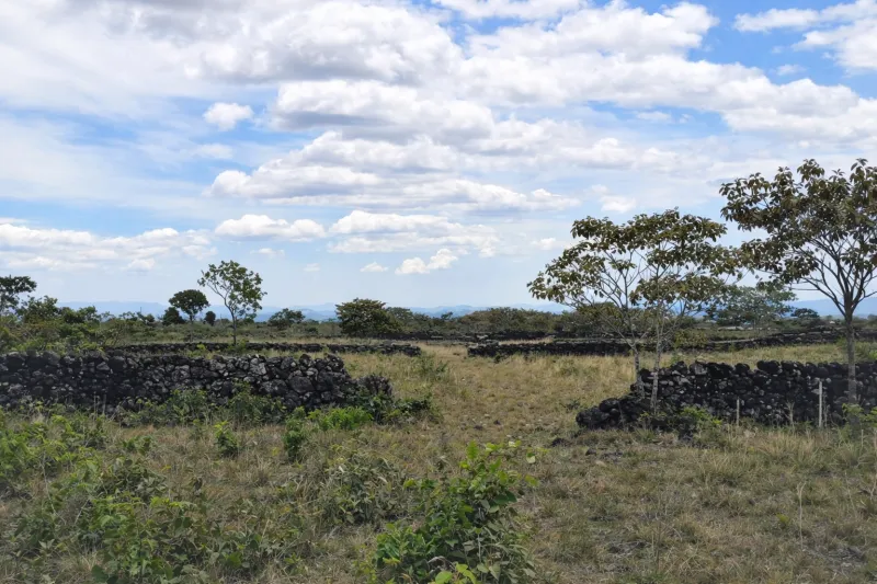 VENTA DE TERRENO SOBRE LA VÍA BOQUETE CHIRIQUÍ
