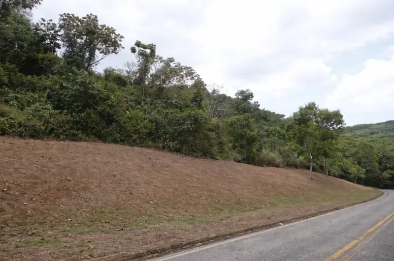 VENTA DE TERRENO EN CLAYTON