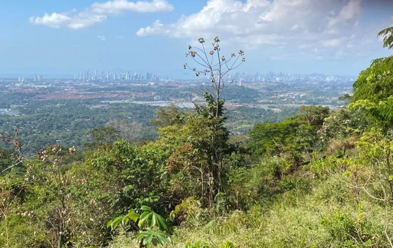 VENTA DE TERRENO EN PANAMÁ NORTE