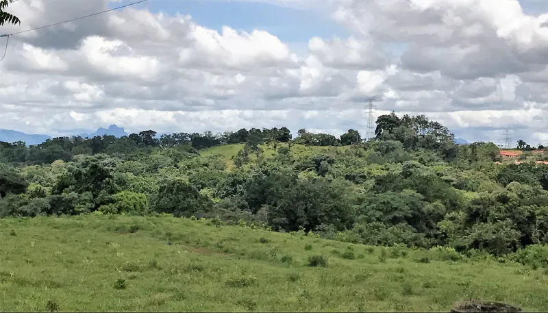 VENTA DE TERRENO PARA DESARROLLO RESIDENCIAL EN LA CHORRERA