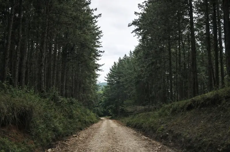 VENTA DE TERRENOS EN SORÁ CHAME