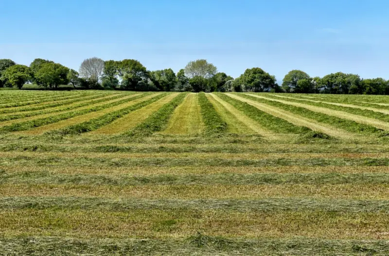 VENTA DE TERRENO EN CORONADO