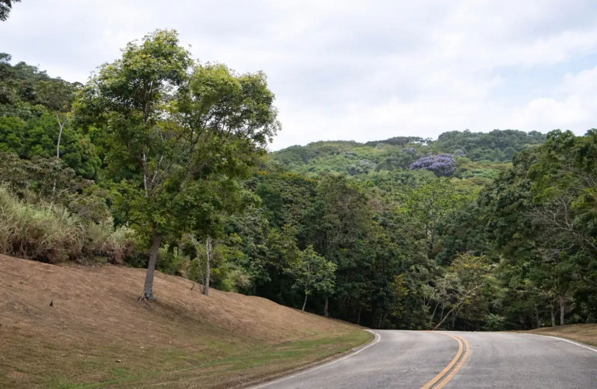 VENTA DE TERRENO EN CLAYTON