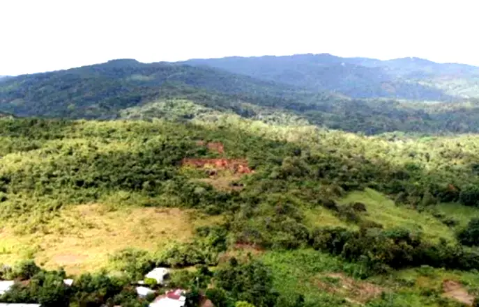 VENTA DE TERRENO EN RANA DE ORO, PEDREGAL