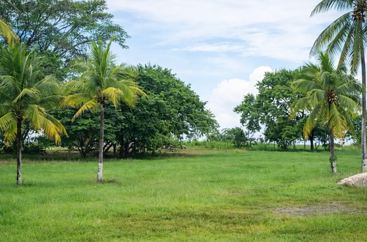 VENTA DE TERRENO PARA DESARROLLO EN CORONADO