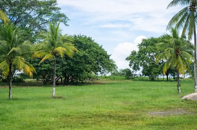 VENTA DE TERRENO PARA DESARROLLO EN CORONADO