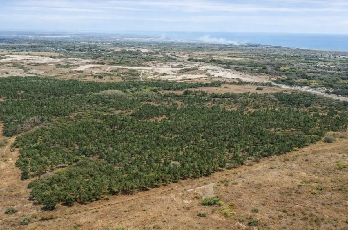 VENTA DE TERRENO EN SANTA CLARA