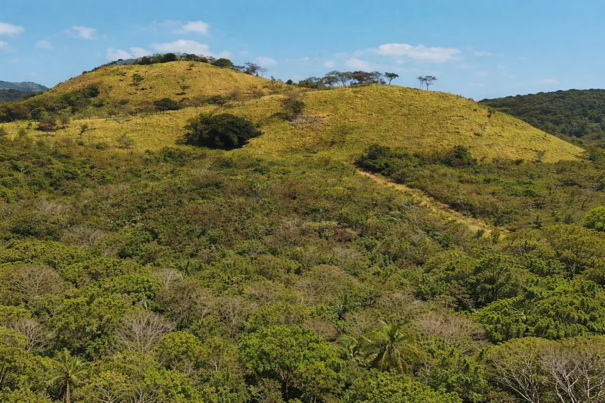 VENTA DE TERRENO EN PENONOMÉ