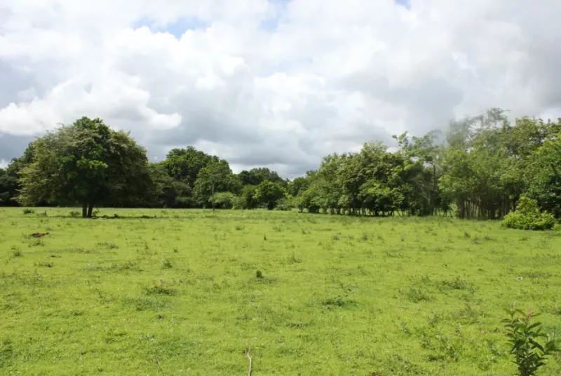 TERRENO EN UTIVÉ PACORA