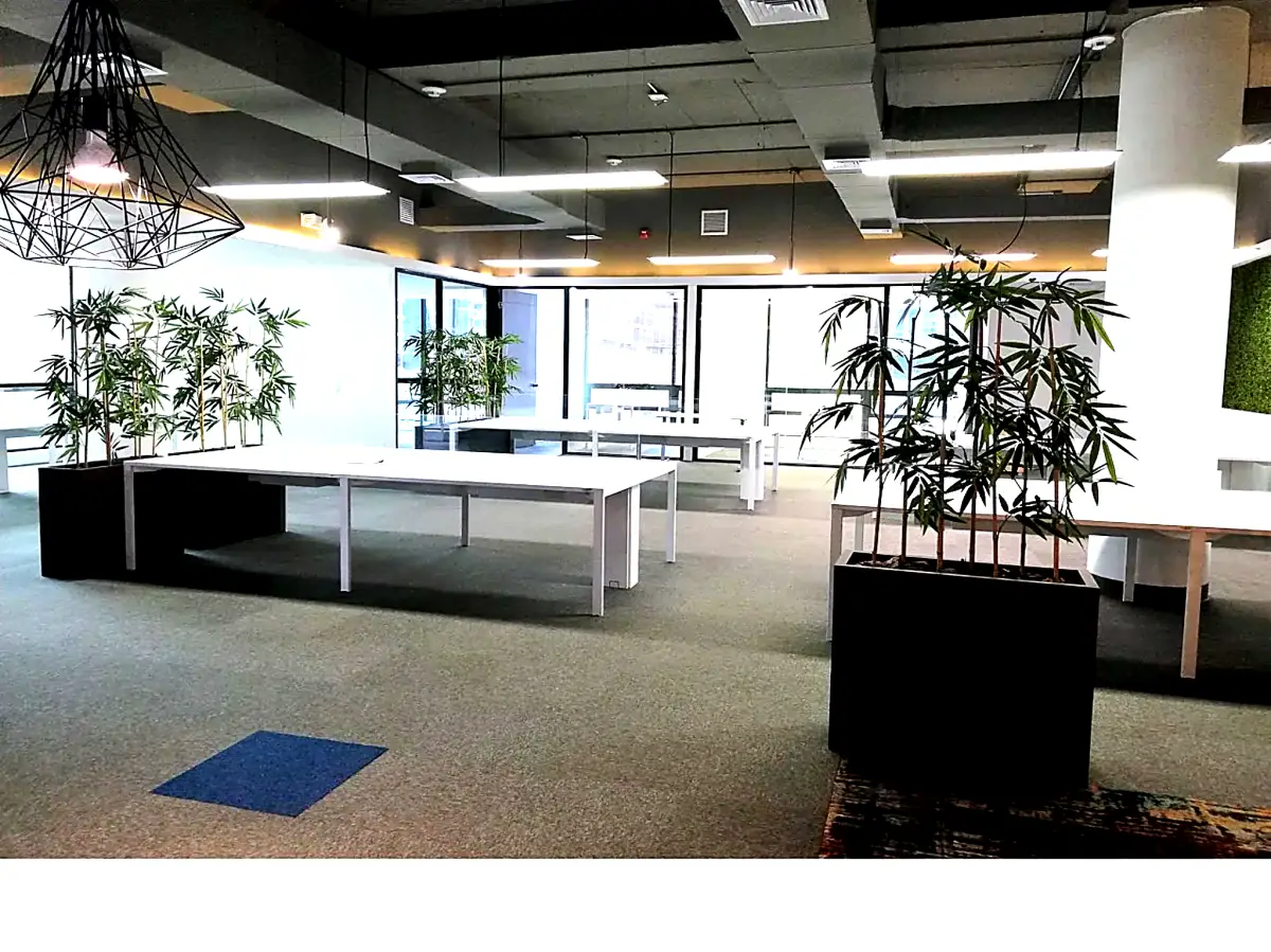 ALQUILER DE OFICINA EN AVE. SAMUEL LEWIS, OBARRIO