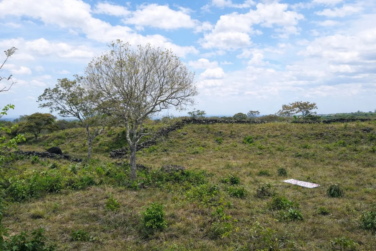 VENTA DE TERRENO SOBRE LA VÍA BOQUETE CHIRIQUÍ